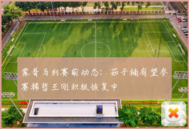 蒙哥马利赛前动态：茹子楠有望参赛稀哲王刚积极恢复中